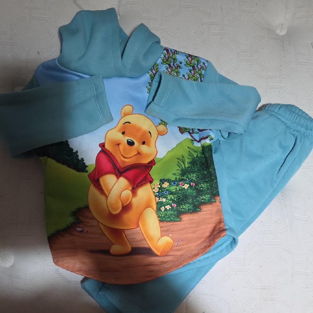 Winnie the Pooh Blue Sweat Set
